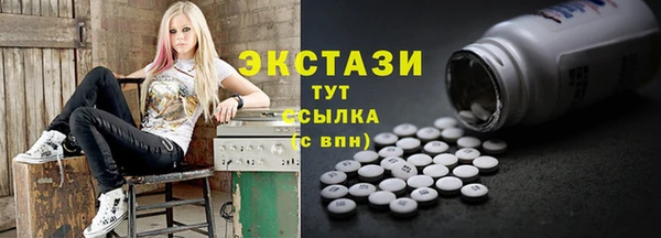 шишки Надым