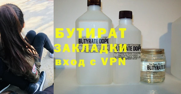 шишки Надым