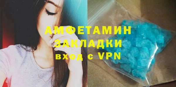 шишки Надым