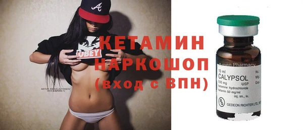 шишки Надым