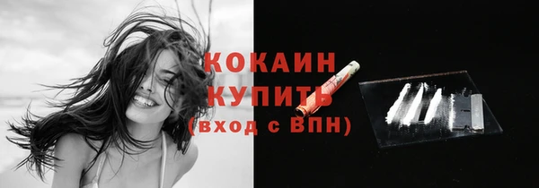 шишки Надым