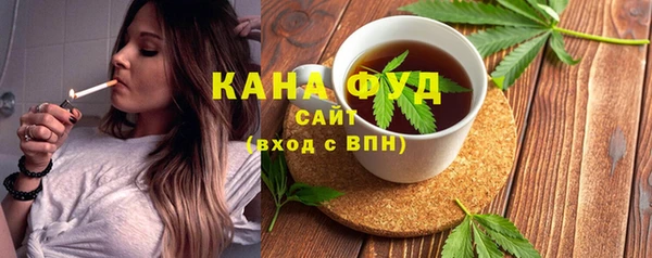 шишки Надым