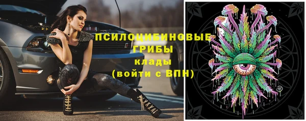 шишки Навашино