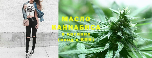 шишки Надым