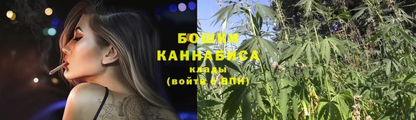 шишки Надым