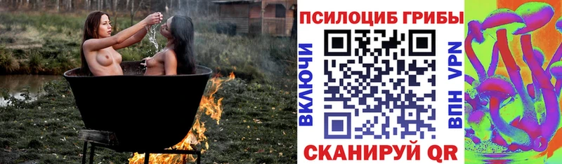 KRAKEN вход  Александровск-Сахалинский  Галлюциногенные грибы MAGIC MUSHROOMS 